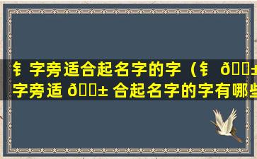 钅字旁适合起名字的字（钅 🐱 字旁适 🐱 合起名字的字有哪些）